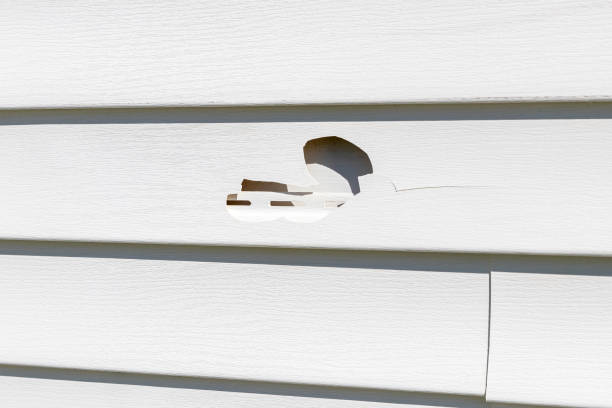 Affordable siding repair and maintenance services in Marion, OH