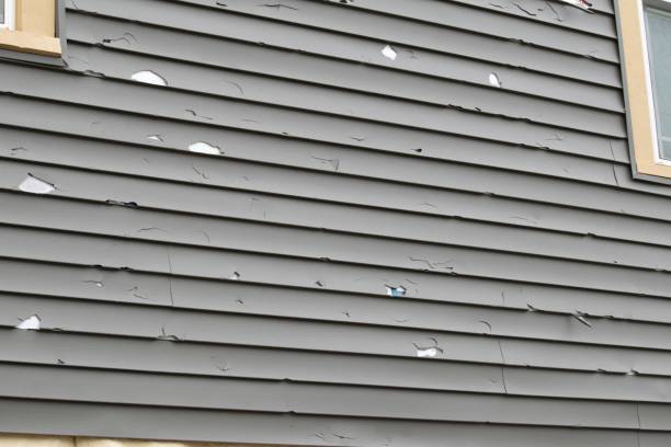 Best Residential Vinyl Siding Installation  in Marion, OH