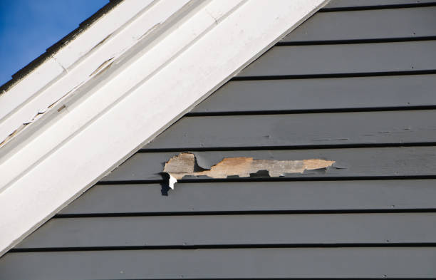 Best Custom Trim and Detailing for Siding  in Marion, OH