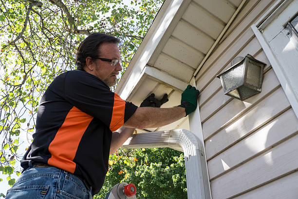 Best Storm Damage Siding Repair  in Marion, OH